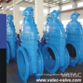 Cast Iron Extended Stem Gate Valve with Groove, Push on, RF or FF Ends